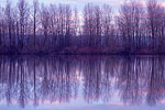 Bybee Lake