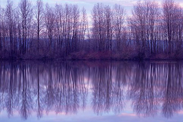 Bybee Lake