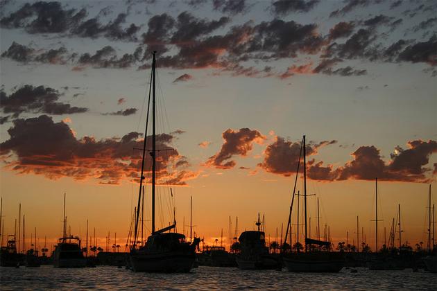 Newport Harbor at sunset