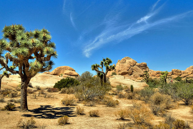 Stunning Desert Scene