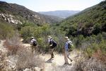 Hiking in Laguna Coast Wilderness Park