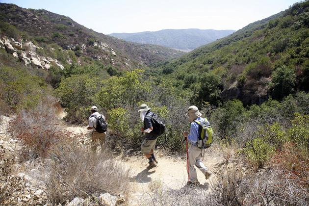 Hiking in Laguna Coast Wilderness Park