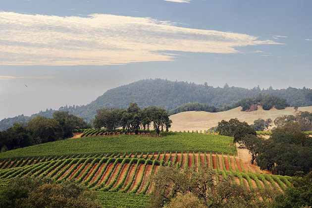 California Wine Country