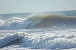 Surfer's Paradise