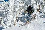 Skiing Boarding Tahoe