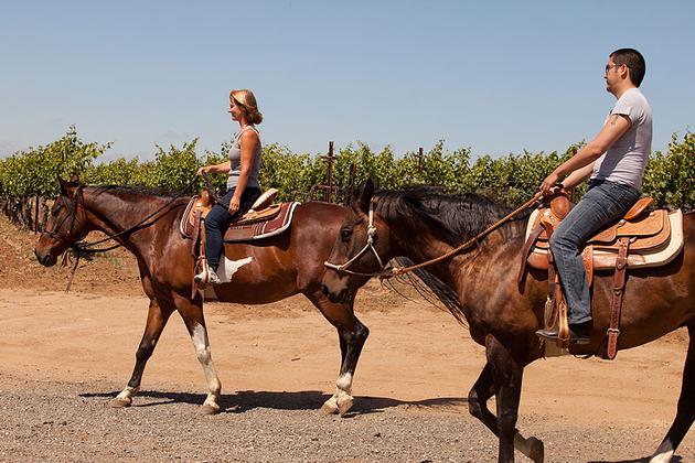 Horseback Riding in Temecula