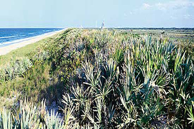 Canaveral National Seashore