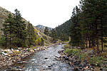 Bubbling Brook