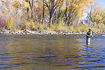 Fishing the Butte