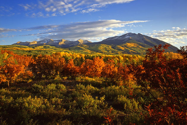 Gunnison National Forest