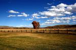 Gunnison Landscape