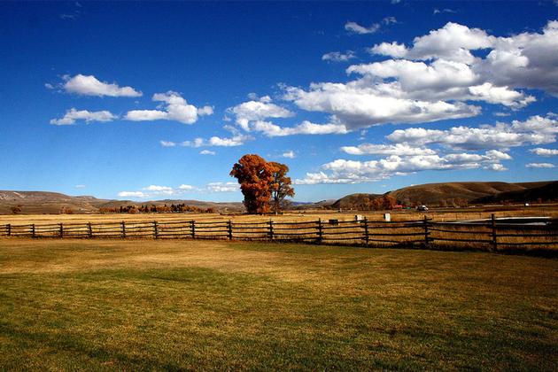 Gunnison Landscape