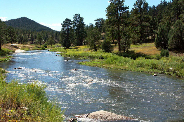 Along the Platte