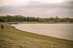 Cove Island Park