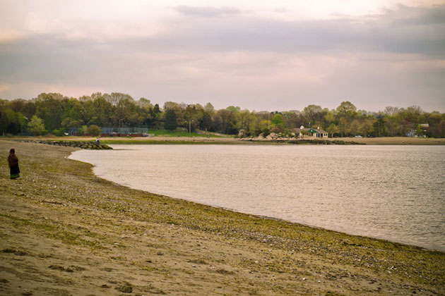 Cove Island Park