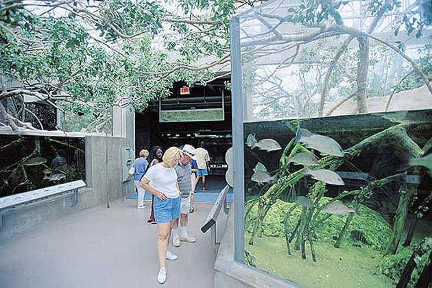 Florida Aquarium