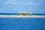 Fort De Soto Park
