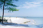 Shell Island  