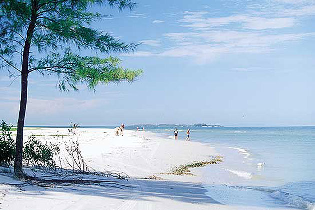 Shell Island  