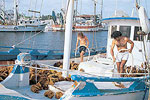 Tarpon Springs