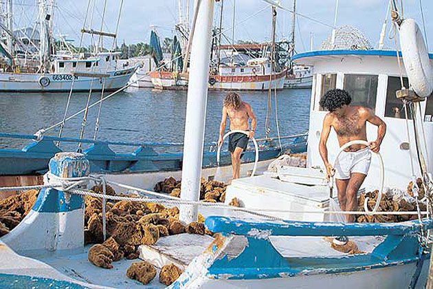 Tarpon Springs