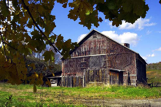 Mail Pouch Barns