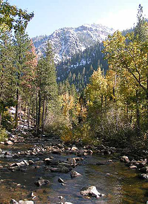 Carson River