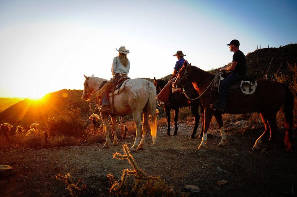 Cave Creek Horse Trail Rides