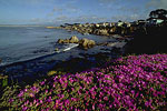 Pacific Grove