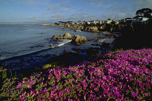 Pacific Grove