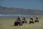 Pismo Beach Dunes