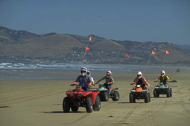 Pismo Beach Dunes