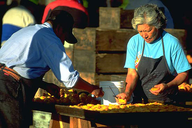 Bonacich Orchard