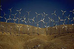 Tehachapi Wind Farm 