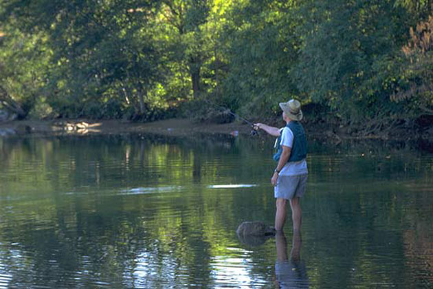 Sacramento Fishing