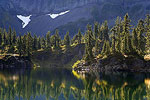Chain Lake