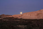 China Ranch