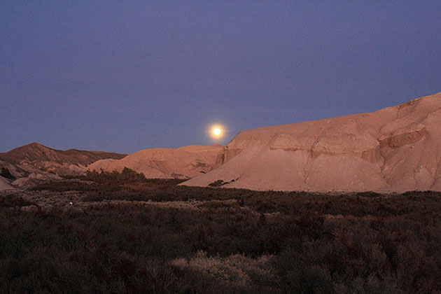 China Ranch