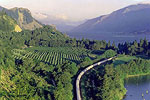 Columbia Gorge with train