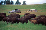 Custer State Park