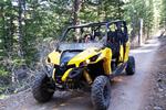 Offroading trails near Bear Lake