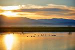 Bear Lake Wildlife Refuge