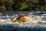 McKenzie River Rafting