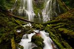 Proxy Falls