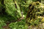 Tire Mountain Trail