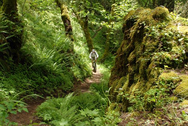 Tire Mountain Trail