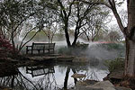 Dallas Arboretum