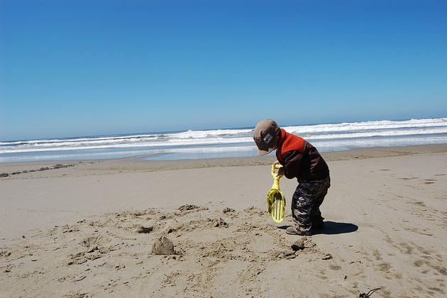 Digging the Coastal Treasures
