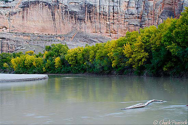 Green River 