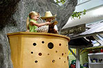 Discovery Center at Murfree Spring - Treehouse